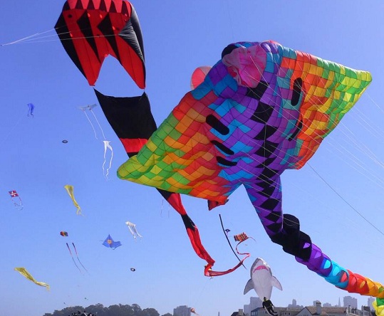 Kite Festival Jaipur Rajasthan
