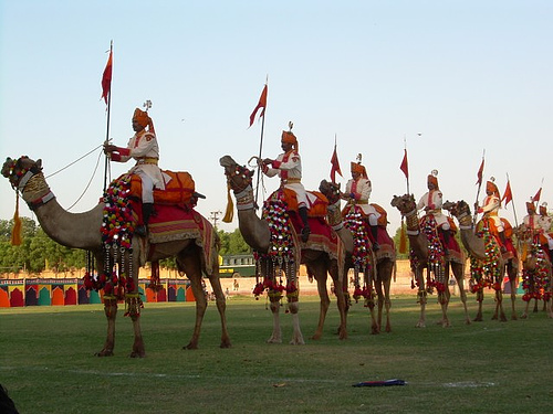 Marwar Festival